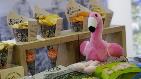 1200x675_ismtag2_0028_ism_23_022_010