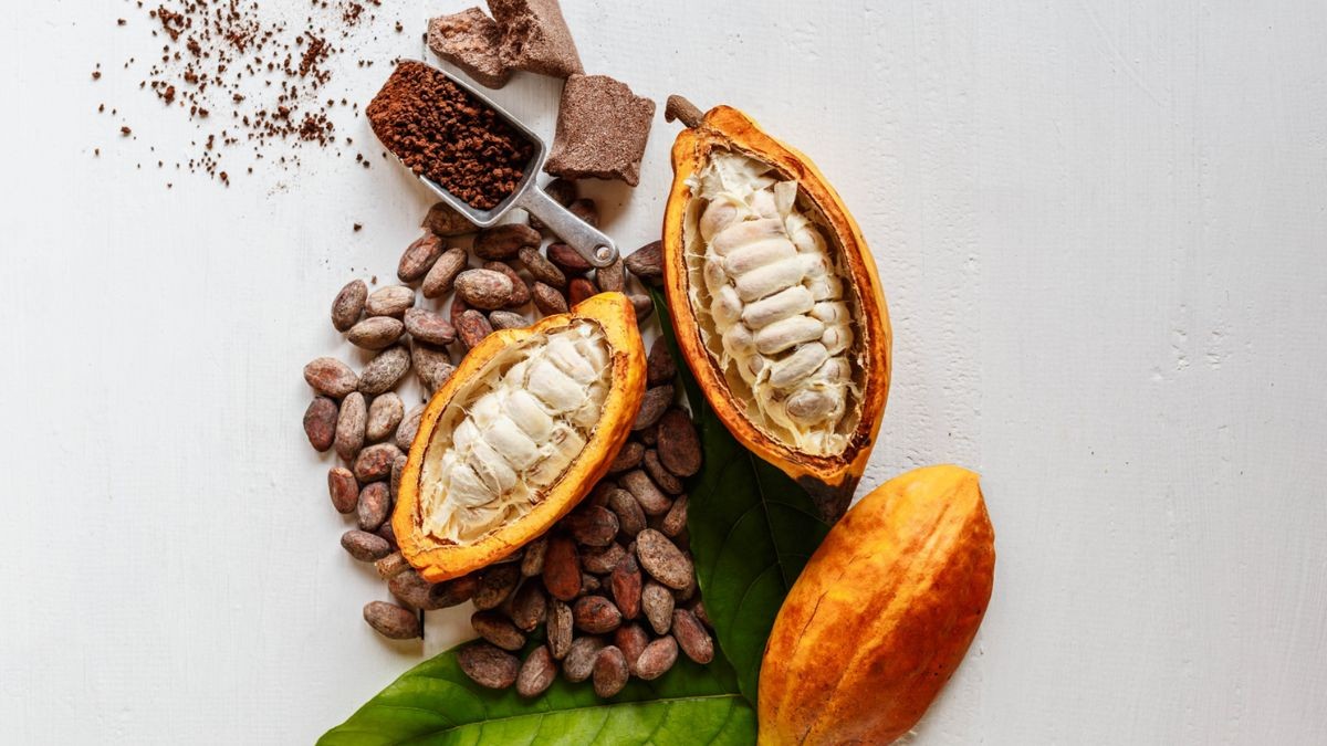 Cocoa plants and cocoa © Innova Market Insights
