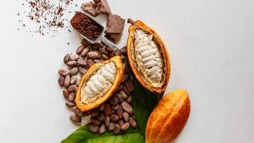 Cocoa plants and cocoa © Innova Market Insights