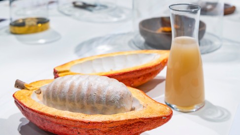 Special_Show_Ingredients_Modell_Kakaofrucht_2100x675